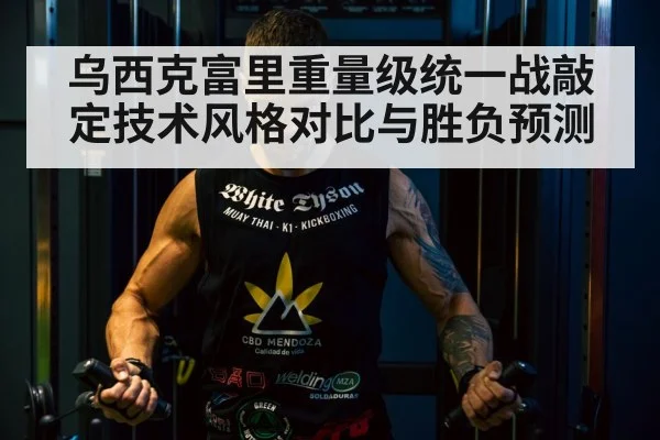 Tyson Fury boxing